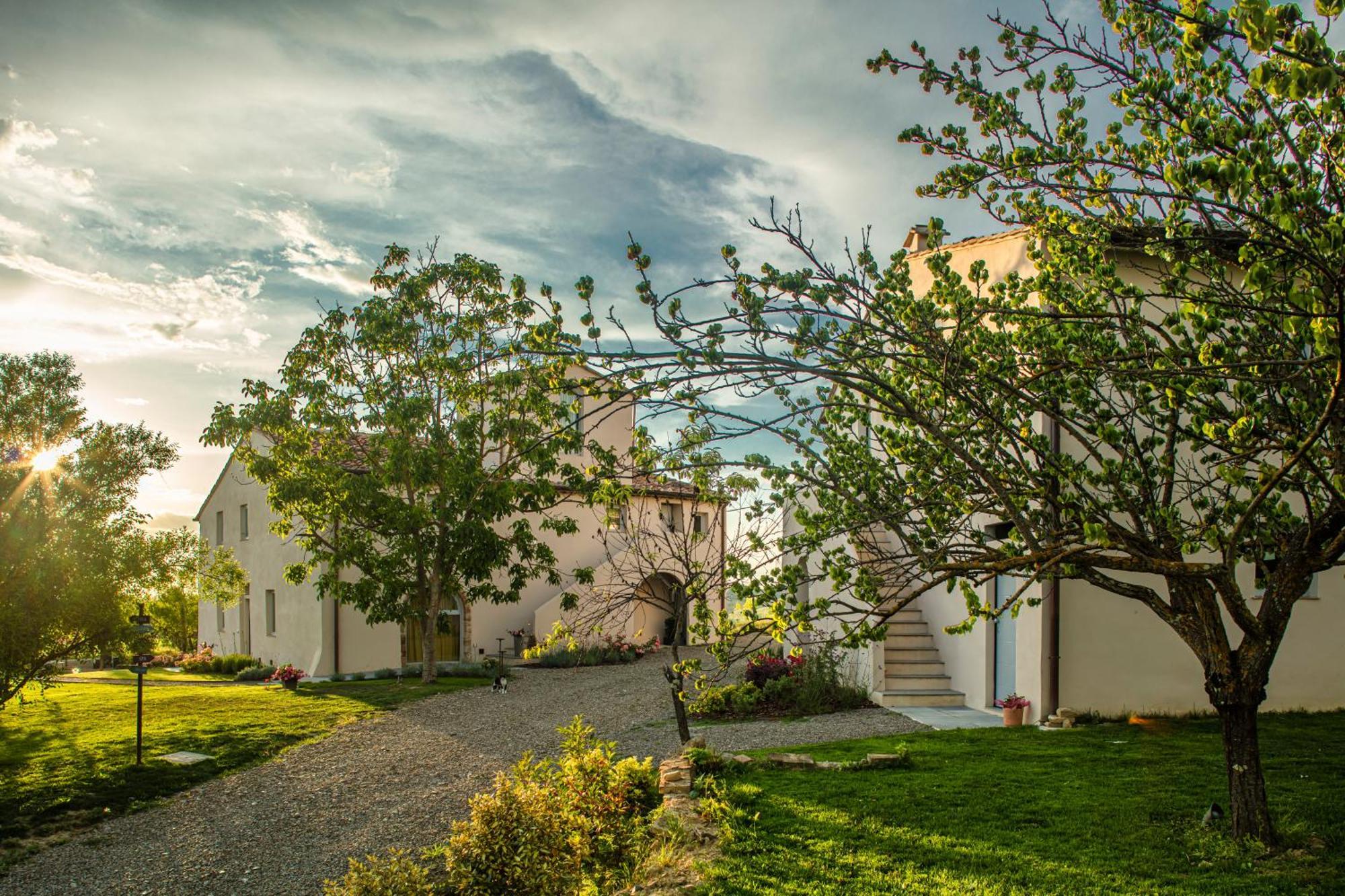 Relais Borgo Elissa Bed & Breakfast Черталдо Екстериор снимка